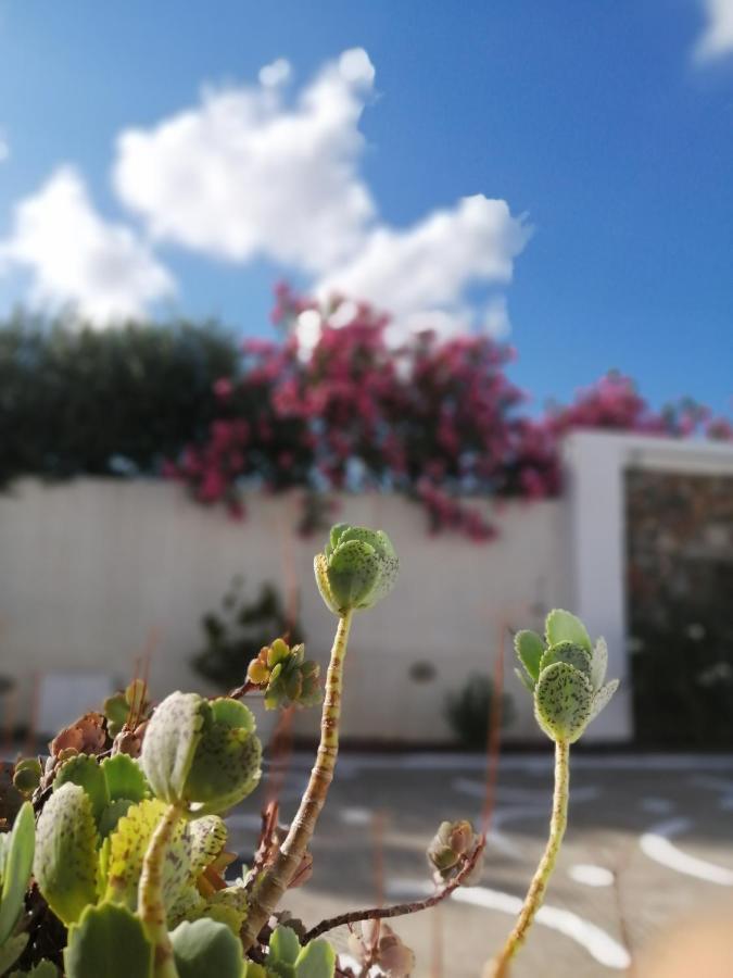 Mouras Resort Livadi  Buitenkant foto